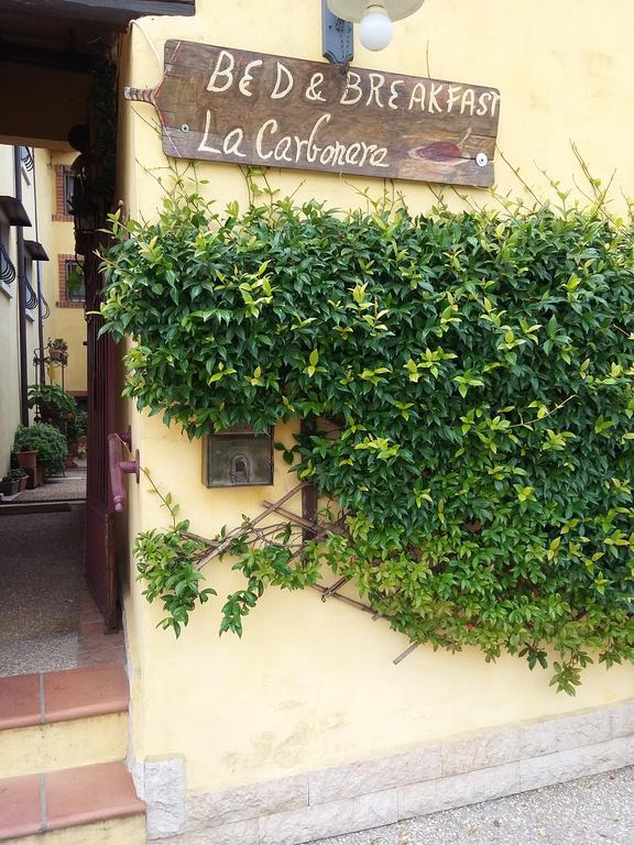 La Carbonara 6 Bed and Breakfast Bardolino Eksteriør billede