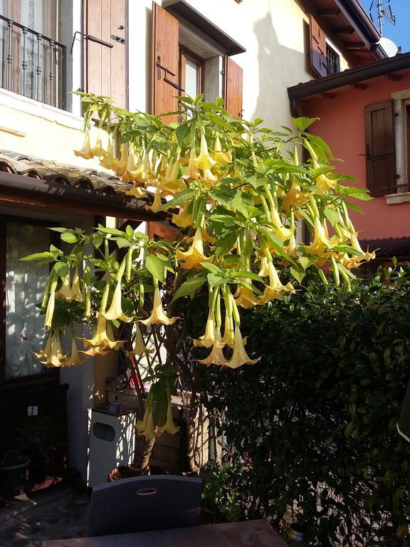 La Carbonara 6 Bed and Breakfast Bardolino Eksteriør billede